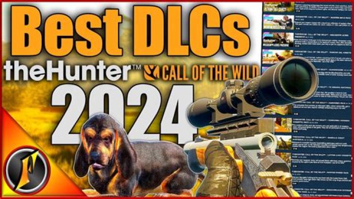 What levels are the DLCs?