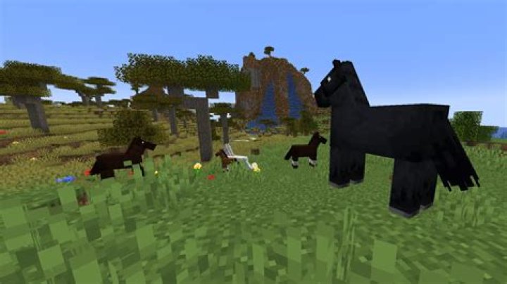 Where do horses spawn in minecraft?