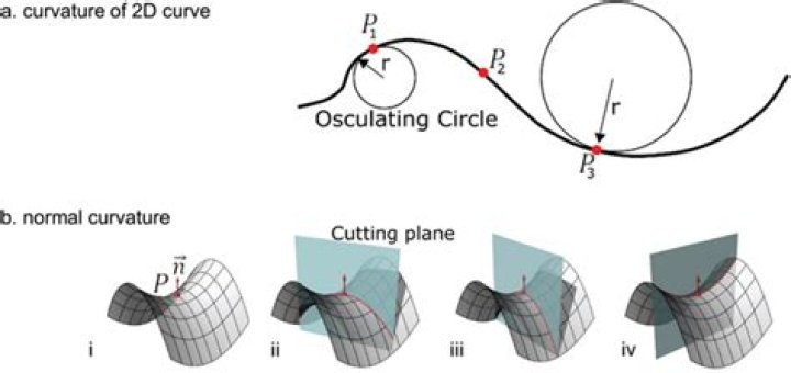 Which side of a 2d curve is a point on?