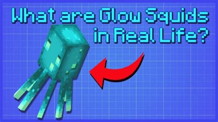Why do my glow squids disappear?