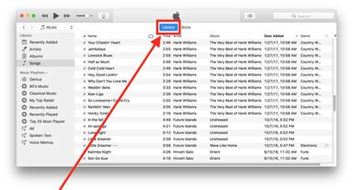 Why does calm4.ogg never play even if it is stored in the music folder?